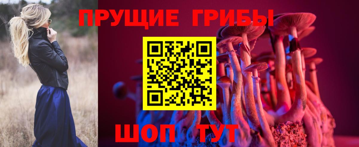 Приморско-Ахтарск  как найти закладки  Вход с VPN  Галлюциногенные грибы Magic Shrooms 